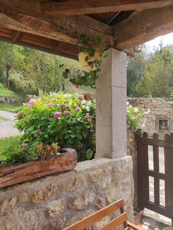 Apartamentos Rurales La Caviana Cangas de Onis Ngoại thất bức ảnh