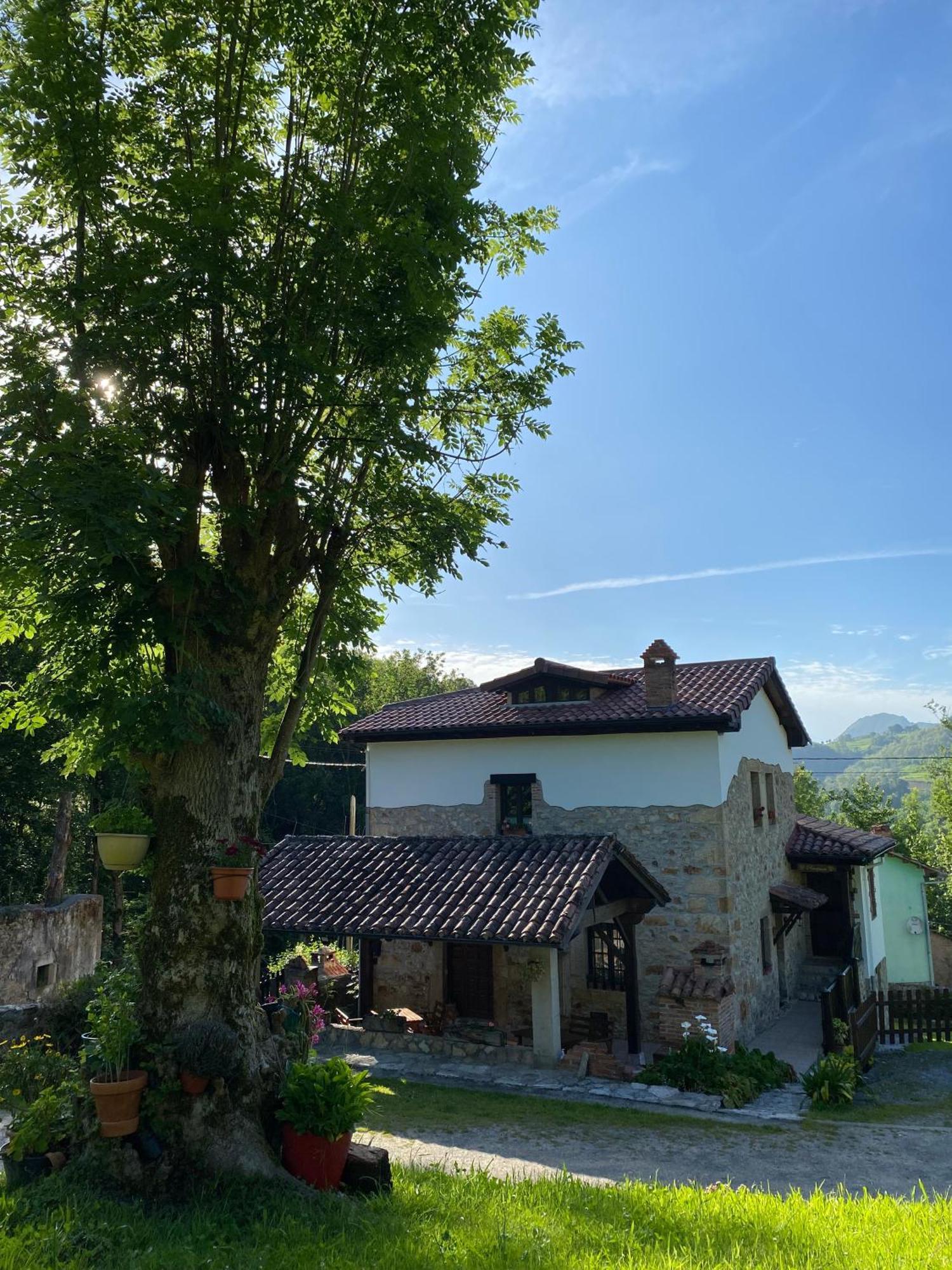Apartamentos Rurales La Caviana Cangas de Onis Ngoại thất bức ảnh